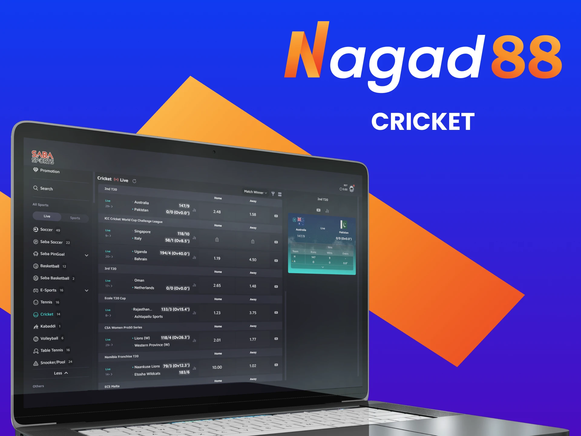 Cricket is ideal for betting on Nagad88.